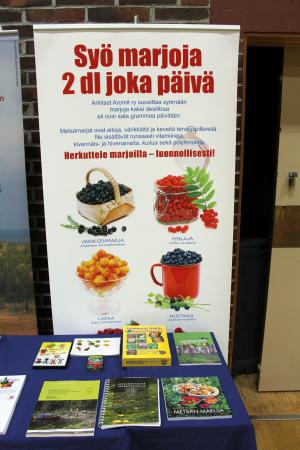 Sy marjoja