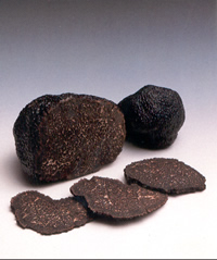 Tuber aestivium