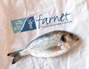 Farnet