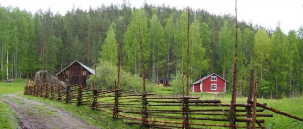 Neitvuori muokattu