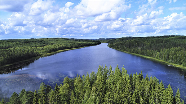 Nettikuva